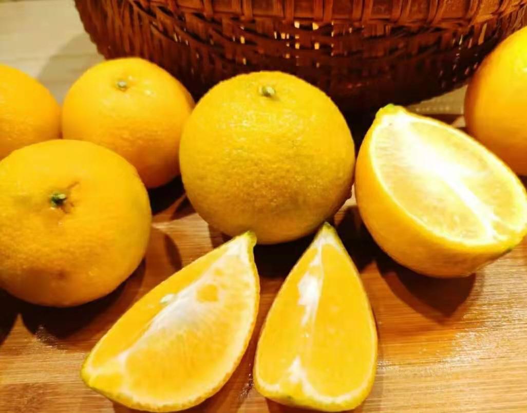 新鲜切开的皇帝柑特写