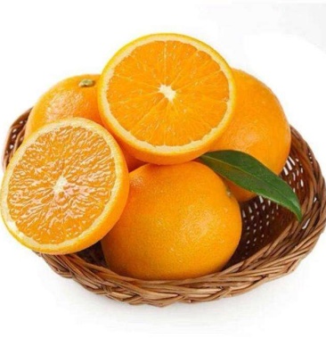 广西桂林蜜香橙又名埃及甜橙纯甜1件批发支持代发