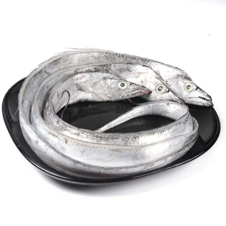 连云港发货 黄海带鱼新鲜冷冻带鱼小眼刀鱼整条发货