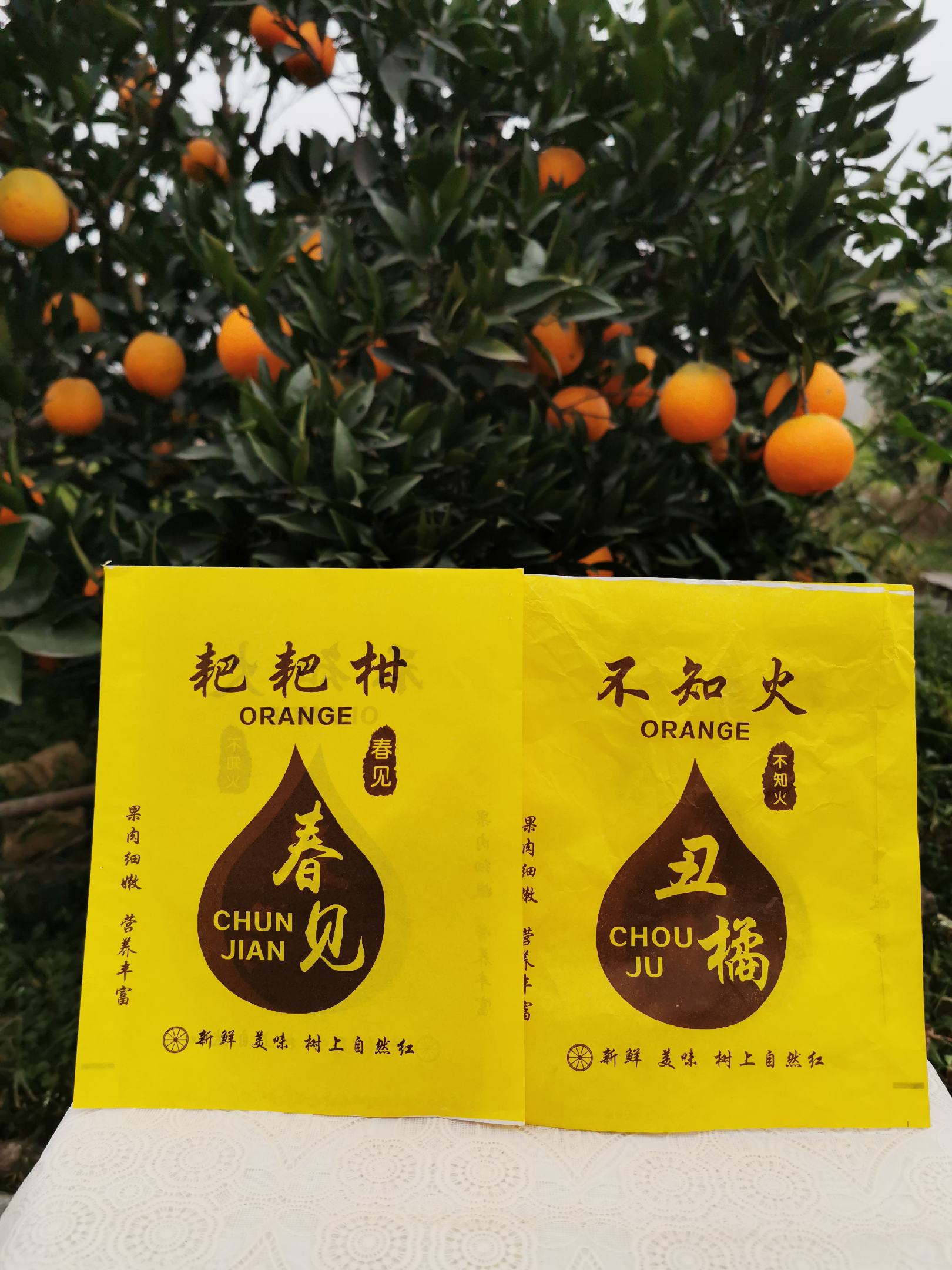 [方便袋批发]耙耙柑春见包装袋丑橘不知火果袋柑橘类套袋厂家直销定制