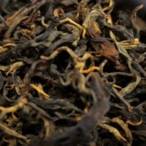 南糯山拔玛古树晒红茶