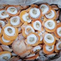 粉丝扇贝龙虾尾蓝口贝.....