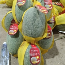 哈密瓜海南哈密瓜精品小密二十五号