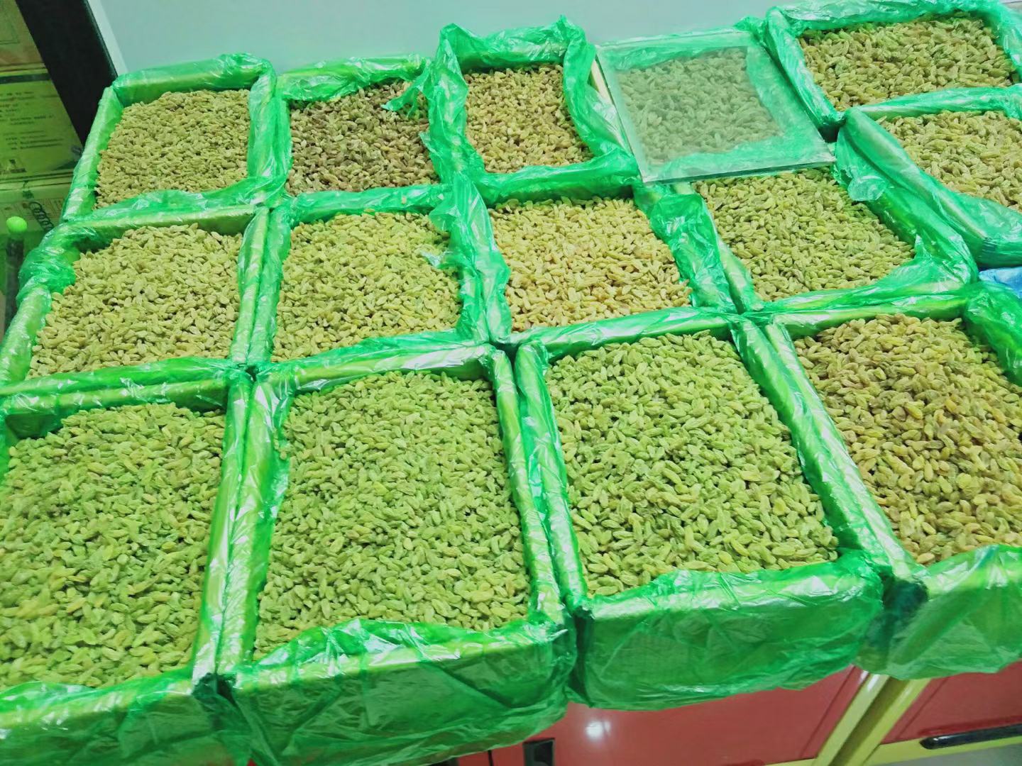 葡萄果糖结构示意图