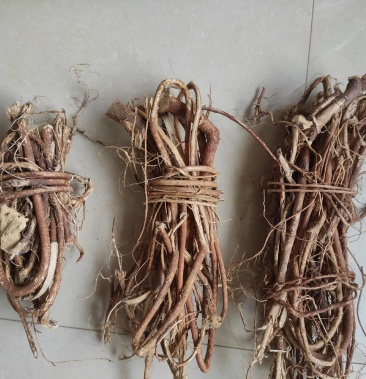 广西野生五指毛桃扎把干货无硫磺太阳晒干