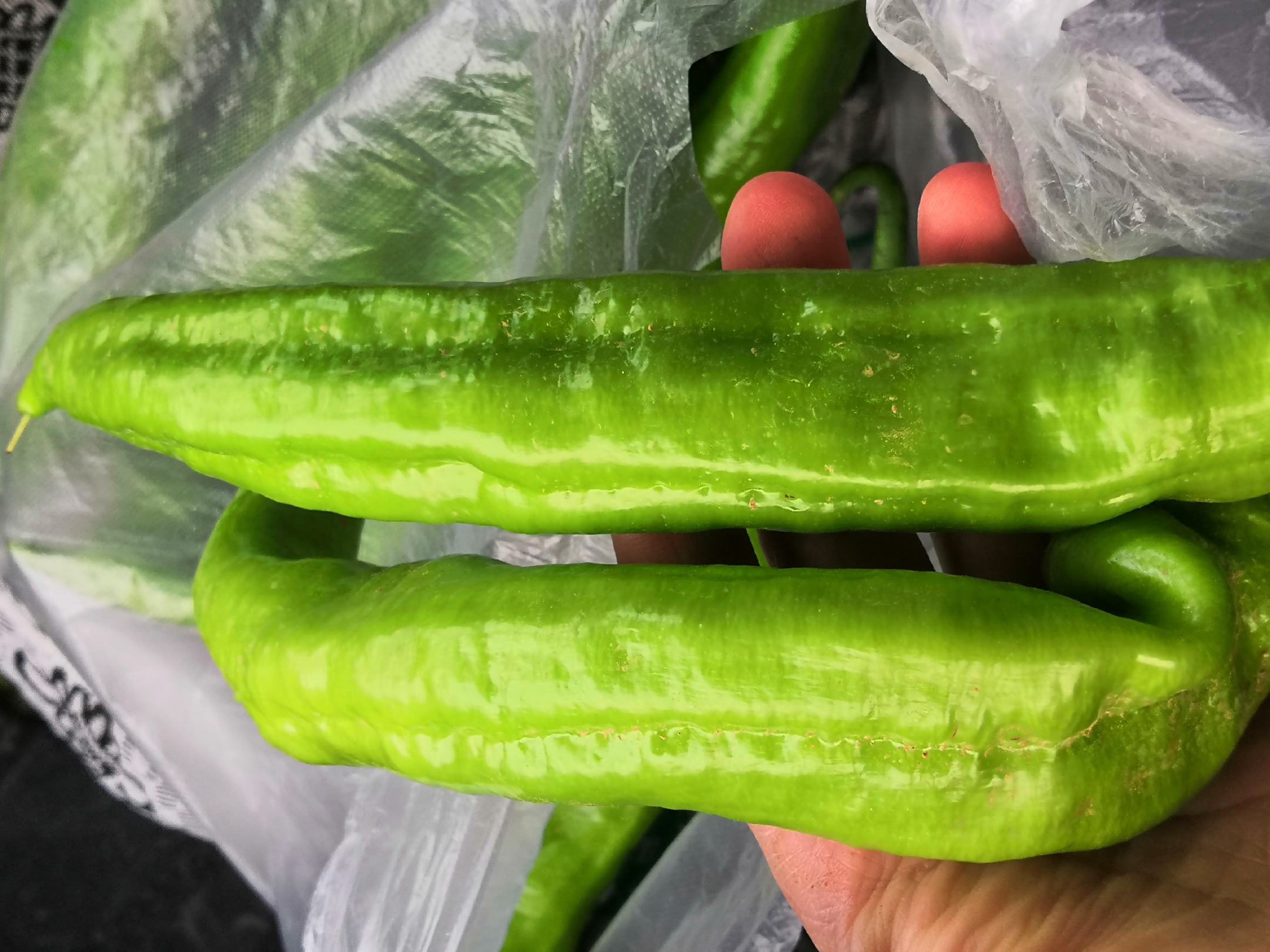 新鲜尖椒特写拼图