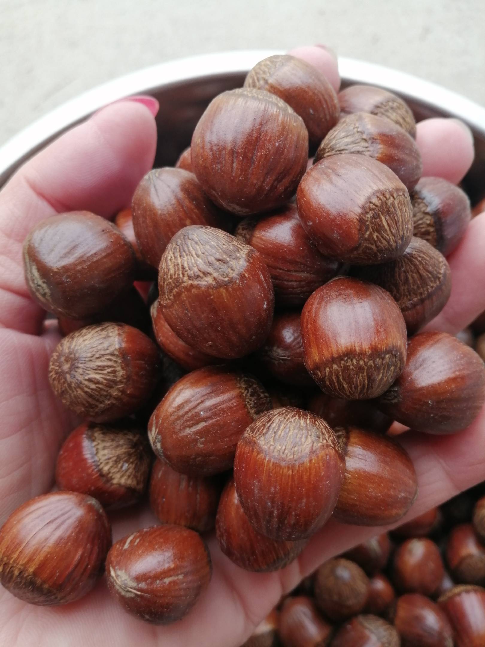 包山榛子自产自销香甜可口没有中间商赚差价包邮