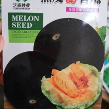 黑皮面瓜甜瓜种子甜度高口感好