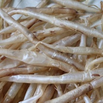 60头鳝肚鱼胶花胶批发代发