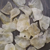 130头缅甸鸡蛋胶鱼胶花胶批发
