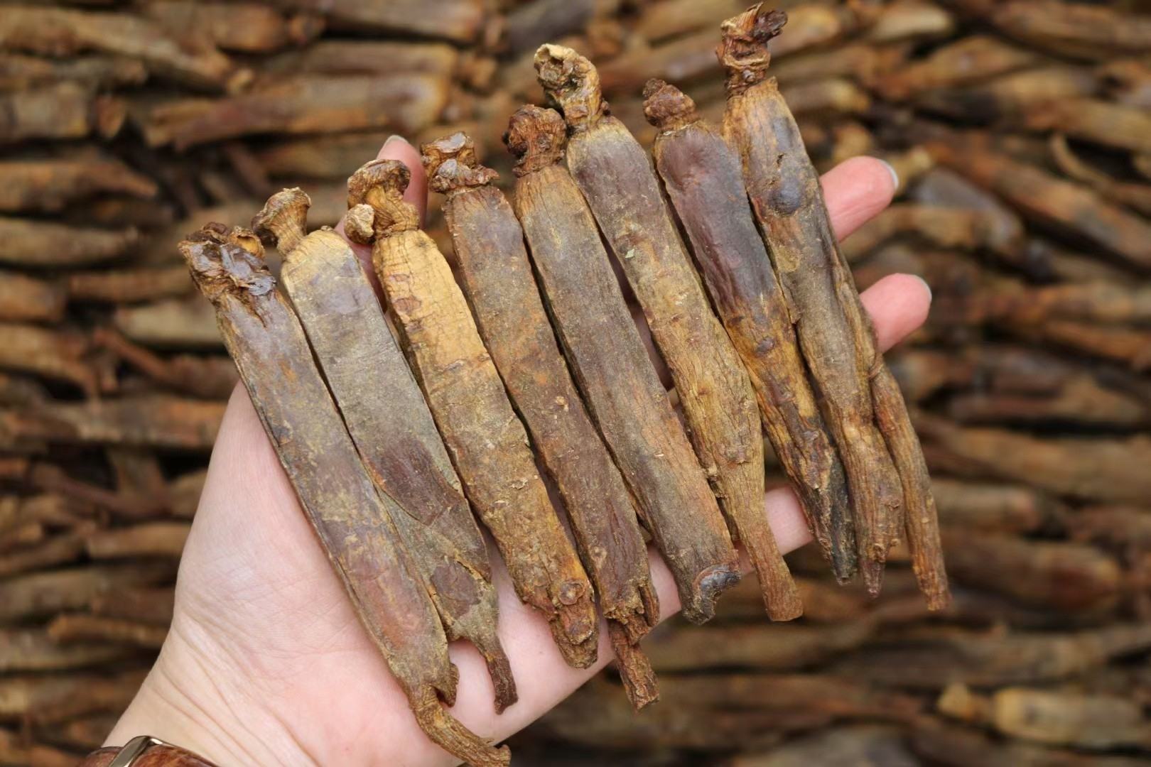 一位面色苍白、精神不佳的女性正在查看西洋参和红参产品 气虚体质人群