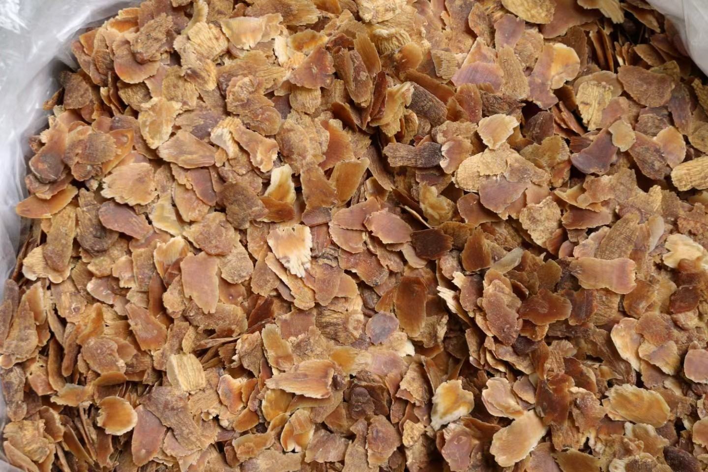 红参含服示意图：一位35岁亚洲女性手持一片琥珀色半透明红参切片，置于舌面，背景为简洁木质托盘与温水杯，光线柔和自然