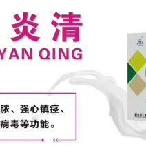 各种急慢性乳房炎，就用乳炎清。鱼腥草提取物纯中药