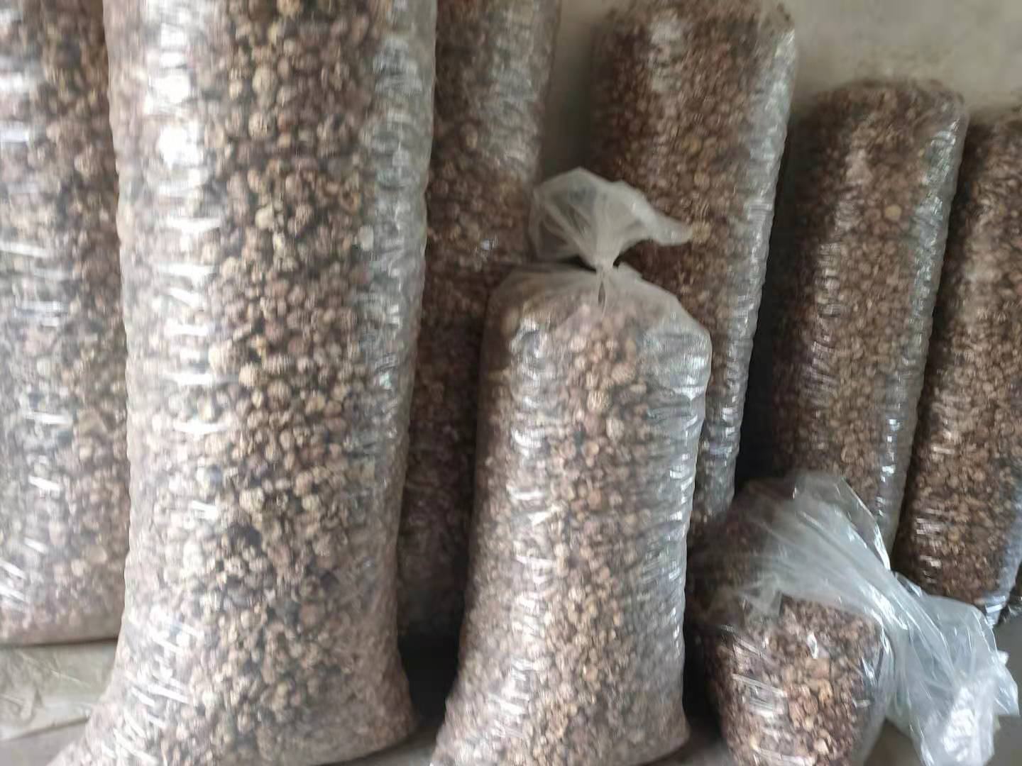 信息图表:左右分栏对比黄瓜与杏鲍菇核心营养成分,中间用动态双向箭头连接,标注具体协同数据,背景为浅绿色农田与菌棚融合插画 营养对比信息图:左侧黄瓜图标标注“维C 15mg/100g、钾147mg/100g、葫芦素0.8mg/100g”;右侧杏鲍菇图标标注“植物蛋白2.5g/100g、膳食纤维2.3g/100g、VB1 0.12mg/100g”;中间双向箭头标注“协同增效:维C↑铁吸收30%|纤维互补促肠道健康”
