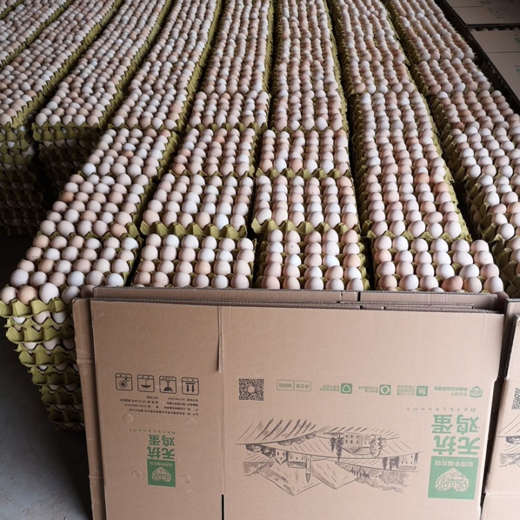 [鸡蛋批发]富硒鸡蛋360枚一箱,可做品牌代理,价格随行报价格195.