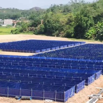 养殖帆布水池大棚鱼池加厚刀刮布水池水蛭龙虾对虾锦鲤鱼水箱