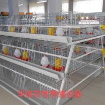 阶梯式育雏笼，阶梯式笼具