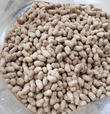 常年销售花生精品罗汉果