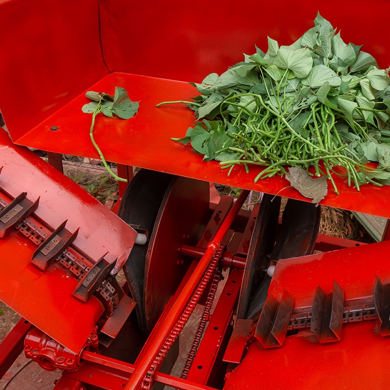 [移栽机批发]红薯苗移栽机,地瓜苗移栽机器,红薯移苗机,红薯栽苗机