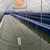 刀刮布水箱，养殖水箱，水池，篷布水池，龙虾水箱，水蛭养殖