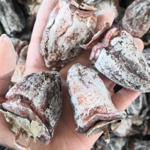 特级白霜尖头柿饼吊柿饼