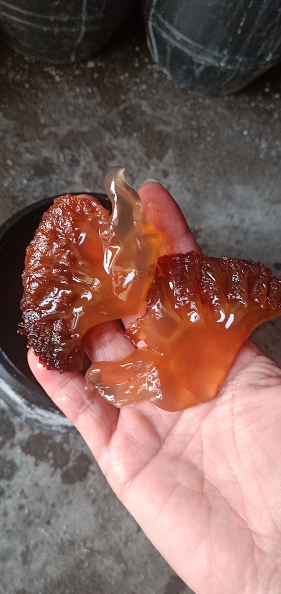 海蜇头,红头单角,4斤装产地直销.大量现货.不包运费