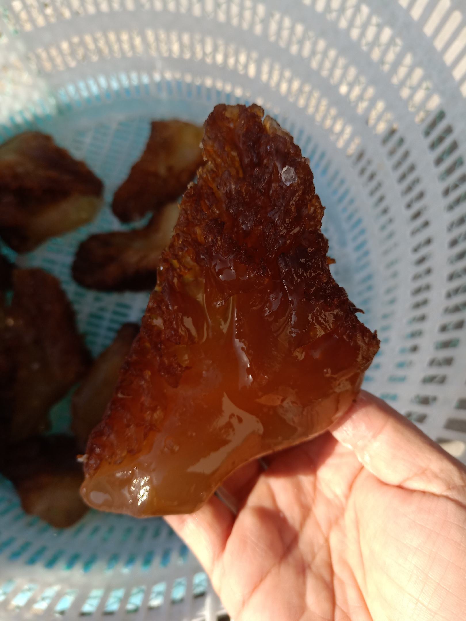 海蜇头,红头单角,4斤装产地直销.大量现货.不包运费