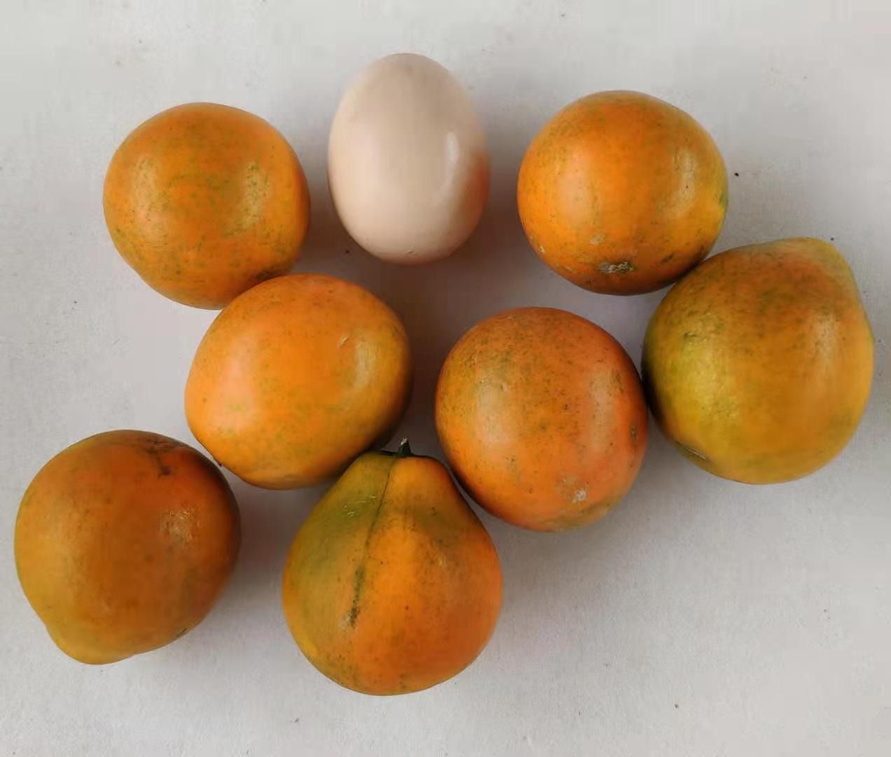 金桔与其他低GI食物搭配示意图