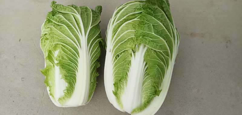 青杂三号白菜与蒜末一起翻炒,色泽鲜亮,香气扑鼻 青杂三号白菜用于炒制的烹饪场景