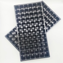 育苗穴盘21325072128200穴秧苗盘
