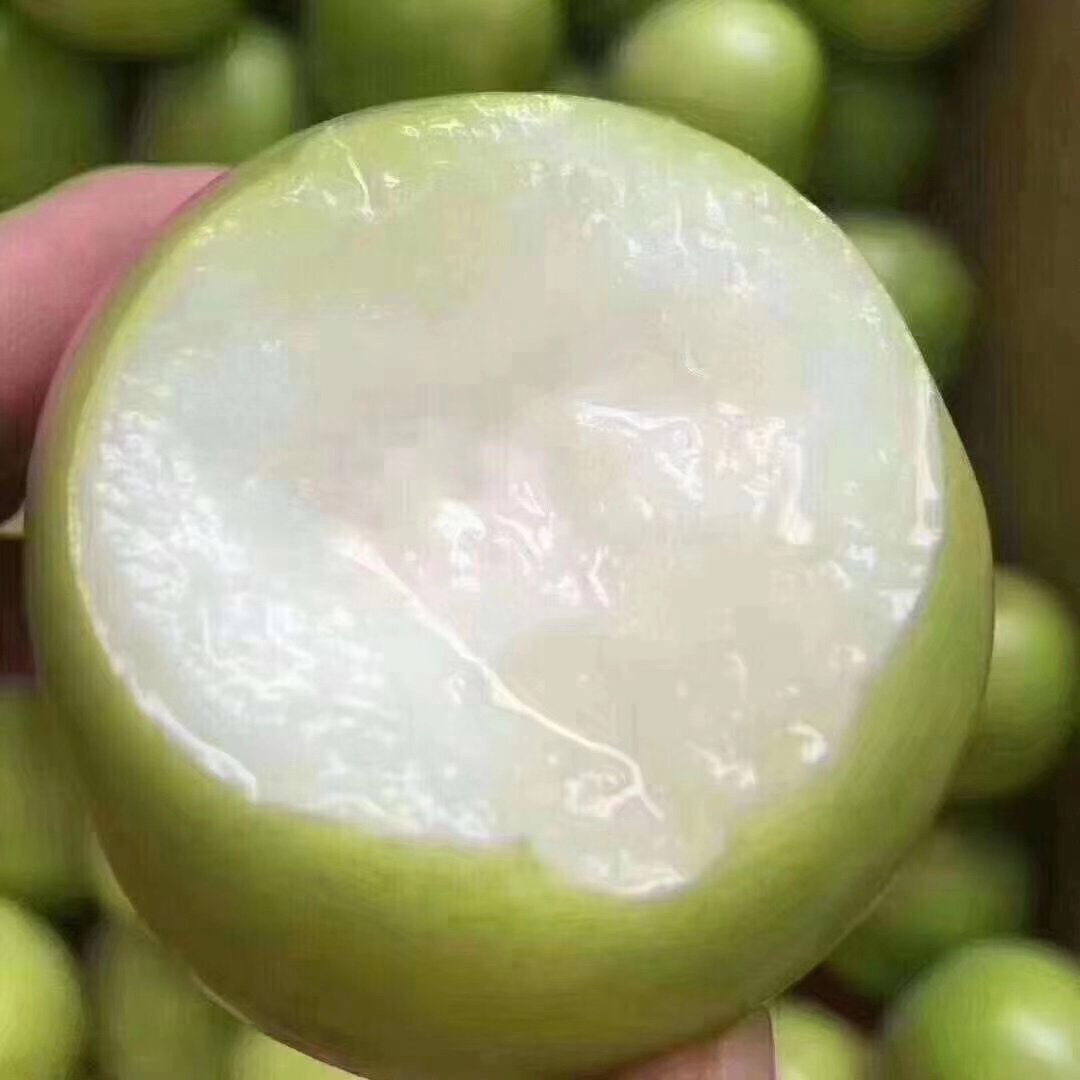 福建云霄牛奶枣脆甜可口包邮