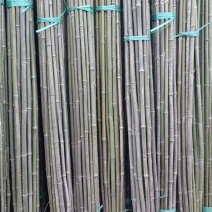 【精品】竹竿批发，大量现货，一手货源，货比三家，价格实惠