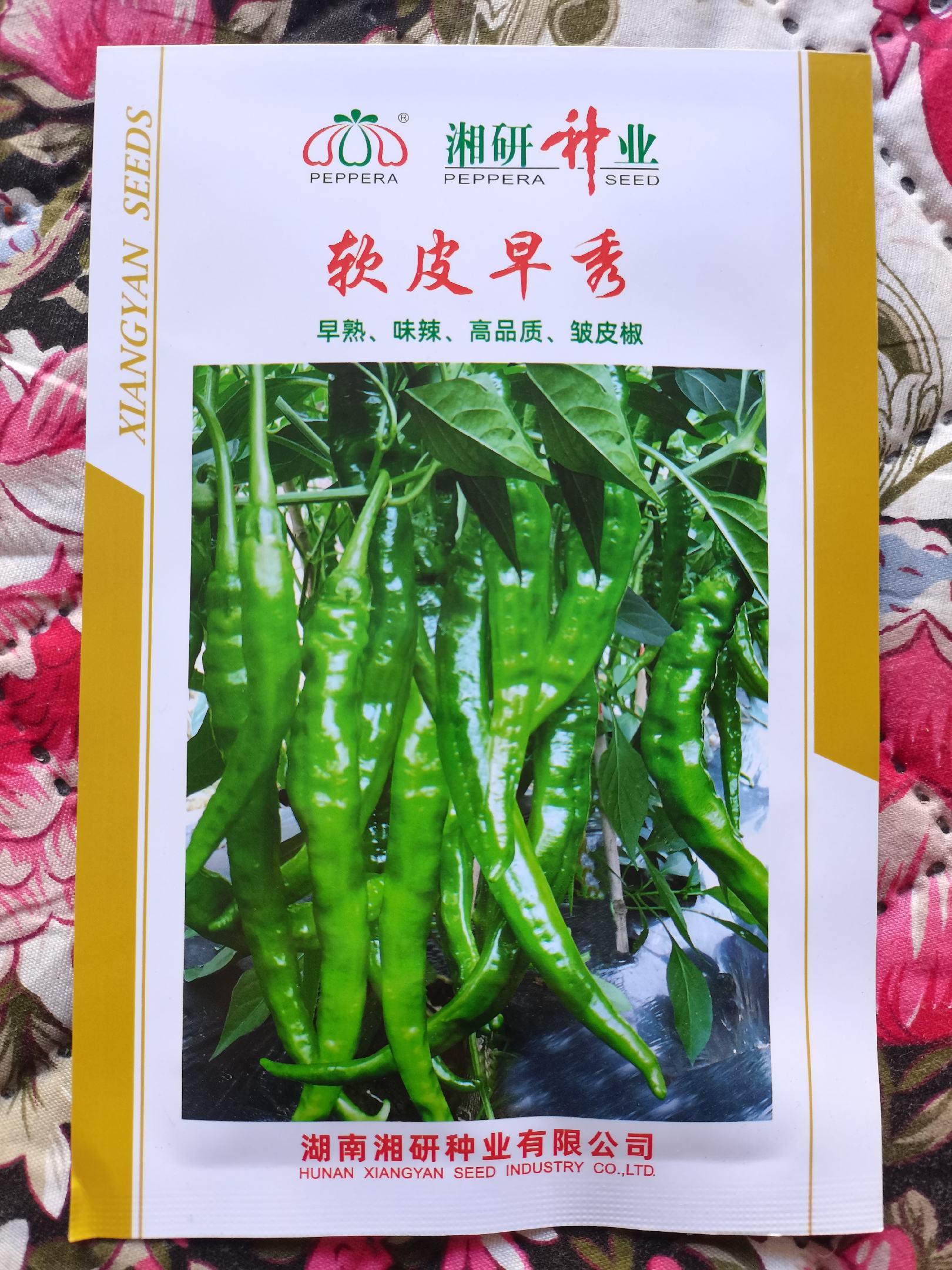 [辣椒种子批发]软皮早秀辣椒 湘研种业价格38.00元/袋 - 一亩田