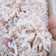 麦杆虾淡干无盐十成干度产地直发