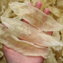 60头佐罗条花胶鱼胶足干新货没有油颜色均匀