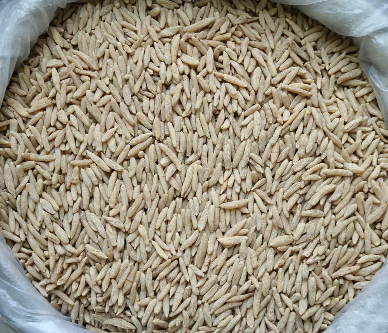 信息图表:左侧列'阳虚体质特征'(畏寒、便溏、舌淡胖)配板栗蒸山药图;右侧列'阴虚体质特征'(口干、舌红、失眠)配'慎用'红色警示图标;底部标注'数据来源:中华中医药学会《中医体质分类判定标准》2023修订版' 板栗体质适配对照表