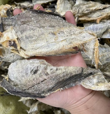 柴鱼皮鱼干超香适合煲汤