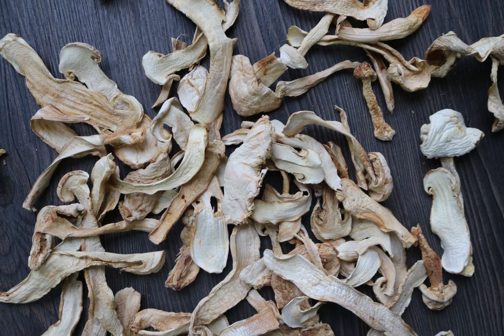 香格里拉松茸与普通松茸对比图