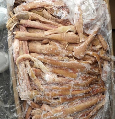 【驴蹄筋】驴蹄筋 干净 颜色新鲜质量好 出肉率高