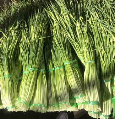 青蒜苔逐步上市中好货不多