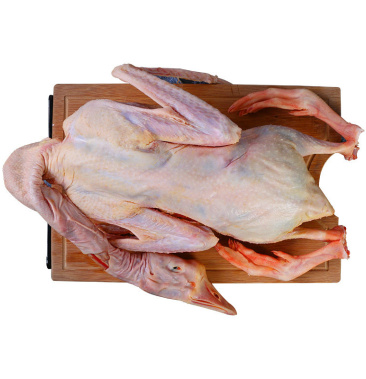 鹅肉,农家散养新鲜现杀鹅肉鹅掌笨鹅整只土鹅嫩鹅滋补食材