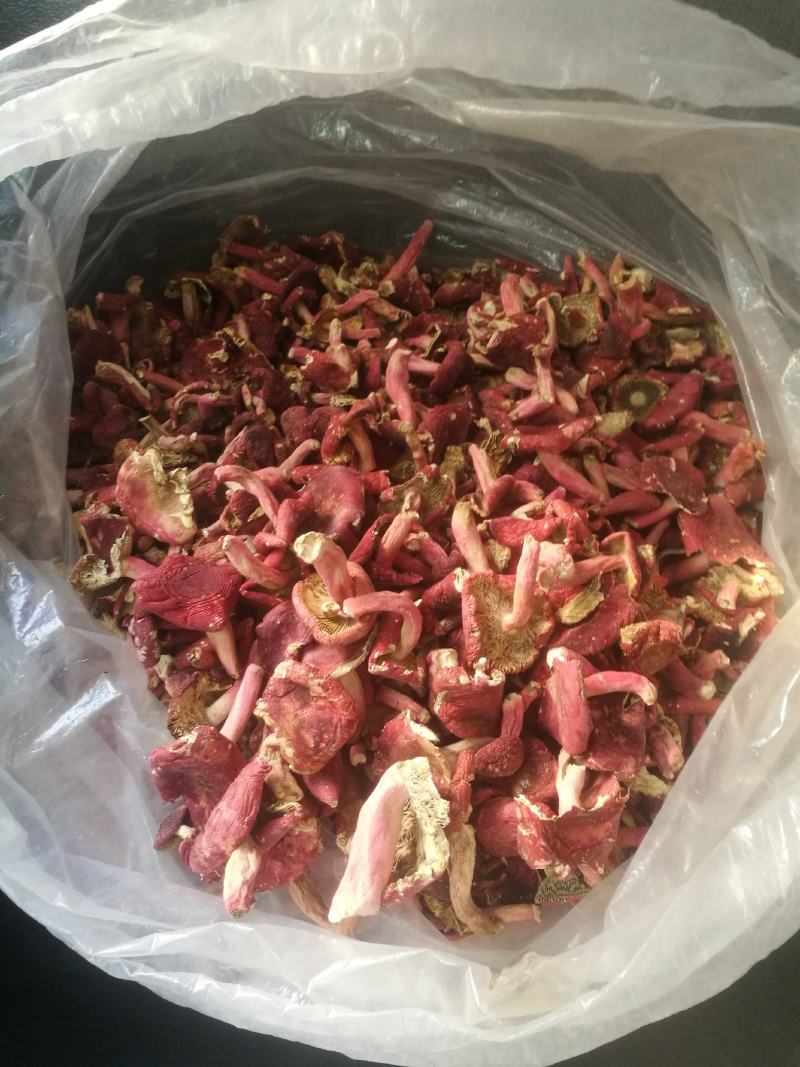 [蘑菇批发]广西贺州昭平县蘑菇 620.00元/斤红菇,红蘑菇, _ 一亩田