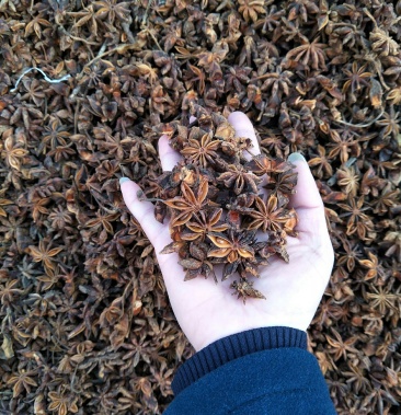 广西玉林八角全干无硫大红水烫八角颜色靓个头大无杂质