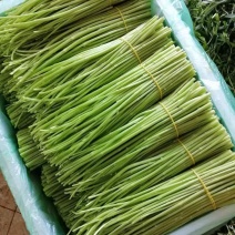 精品芦篙现货秒发价格美丽