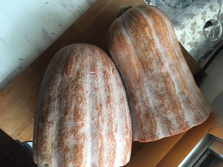 蜜本南瓜特写
