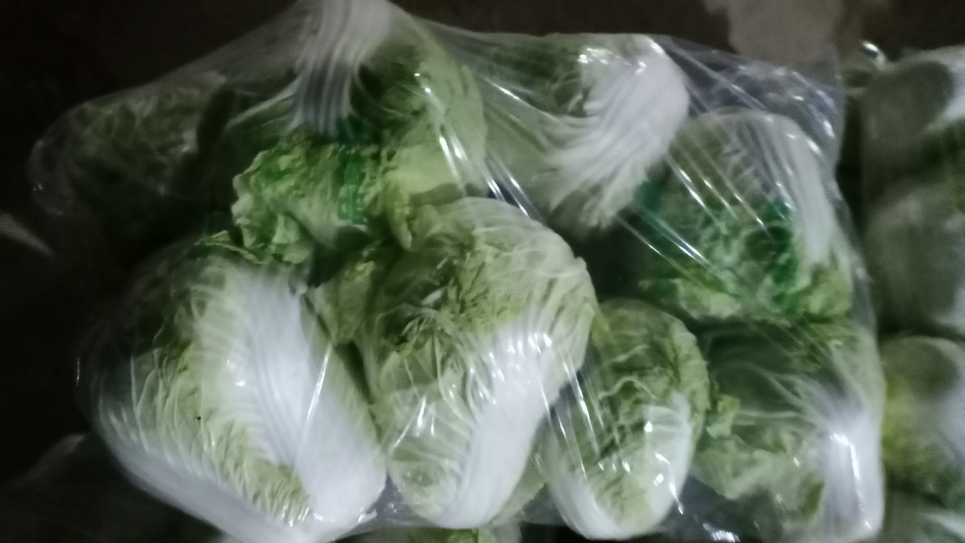 秦白2号白菜市场销售现场