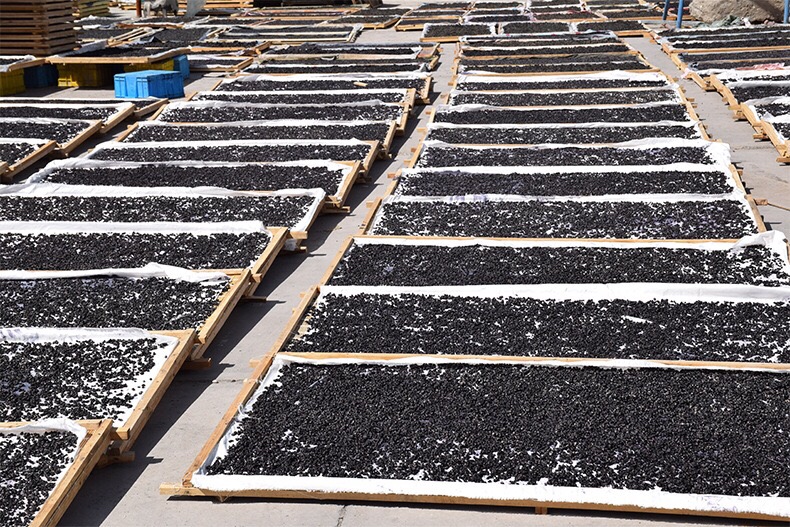 处理泡酒后枸杞的操作场景:展示人工捞出并准备晾晒的过程,强调卫生操作与后续再利用 一位中年男性戴着橡胶手套,正在将泡过酒的红色枸杞从玻璃罐中取出,放在白色陶瓷盘上晾晒,背景为厨房窗台