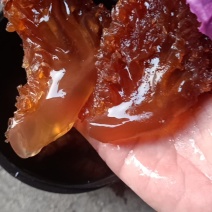 海蜇头，红头单角大个单角。产地直销，大量有货。