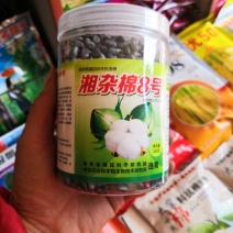 湘杂棉8号湖南省农科院选育