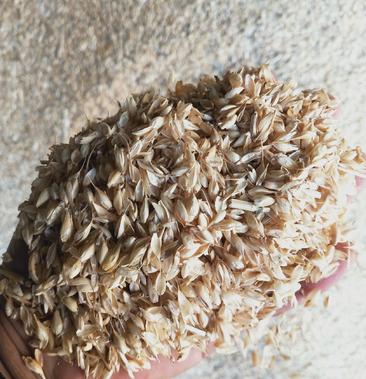 [麦麸批发]优质麦糠,大量有货,要的联系,价格0.15元/斤 一亩田